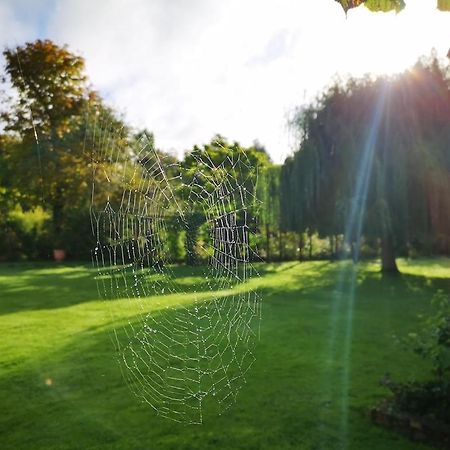 Gite Du Chateau D'Hardelot A Condette Bagian luar foto