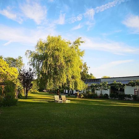 Gite Du Chateau D'Hardelot A Condette Bagian luar foto