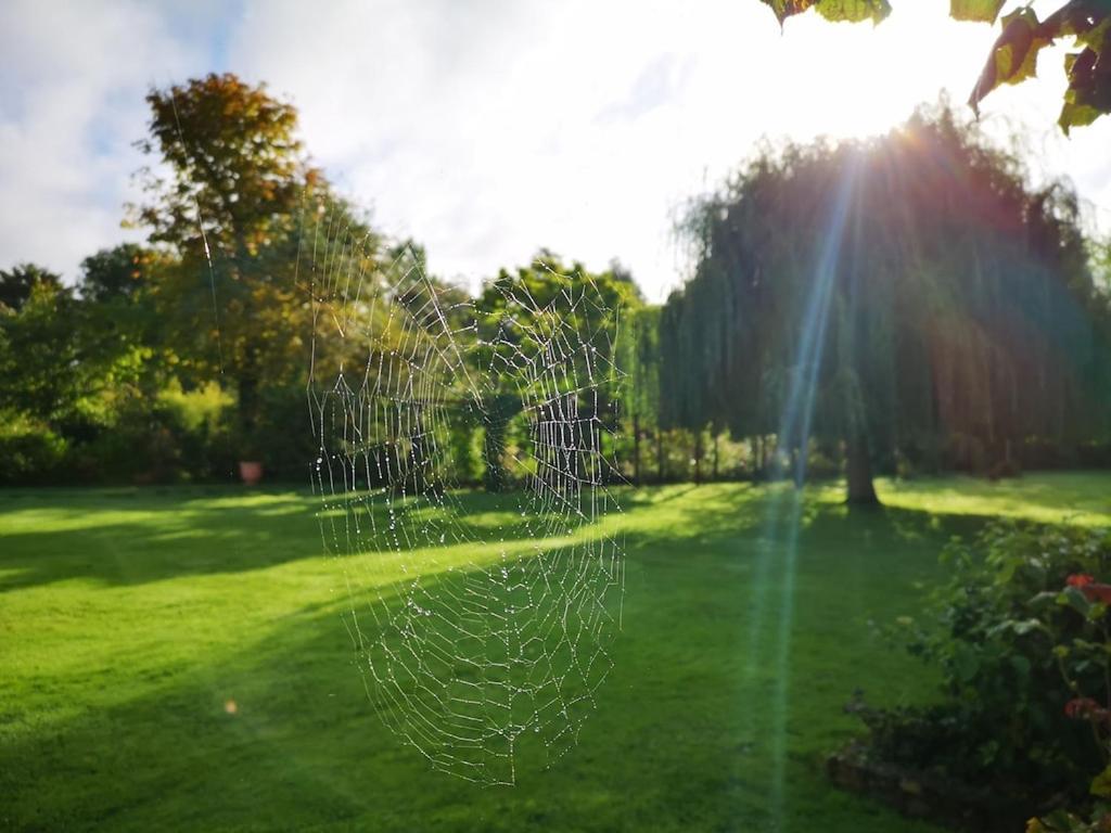 Gite Du Chateau D'Hardelot A Condette Bagian luar foto
